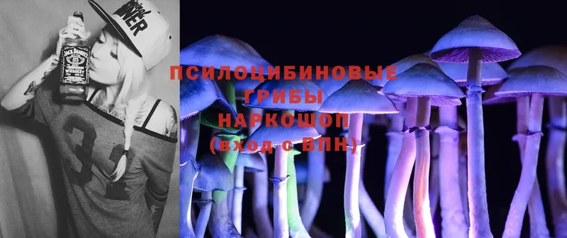 Псилоцибиновые грибы Psilocybine cubensis  как найти   Кисловодск 